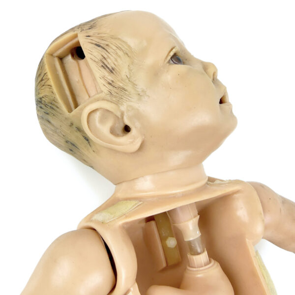 Mannequin nourrisson de simulation pédiatrique CLA Allemagne Années 70 (détail)