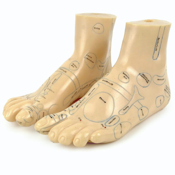 Paire de pieds d’acupuncture en PVC souple Médecine traditionnelle Chinoise (3/4)