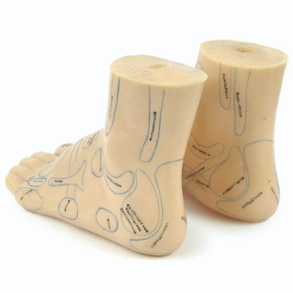 Paire de pieds d’acupuncture en PVC souple Médecine traditionnelle Chinoise (3/4 dos)