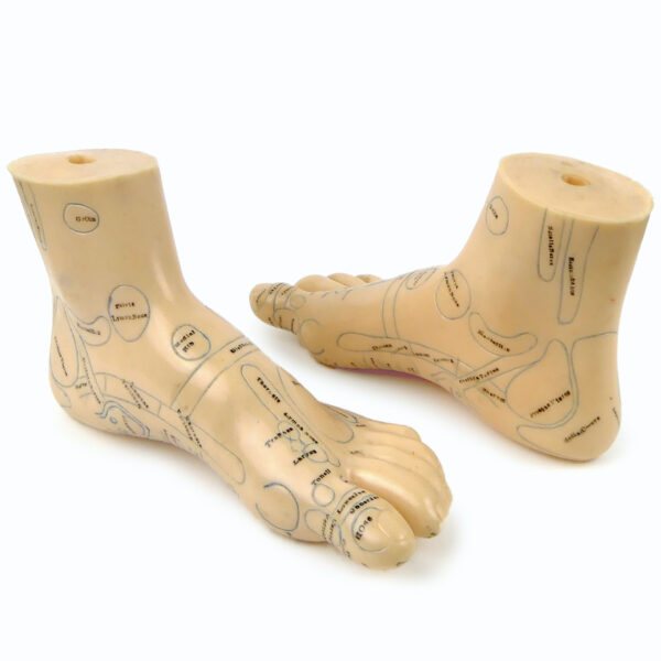 Paire de pieds d’acupuncture en PVC souple Médecine traditionnelle Chinoise (3/4)
