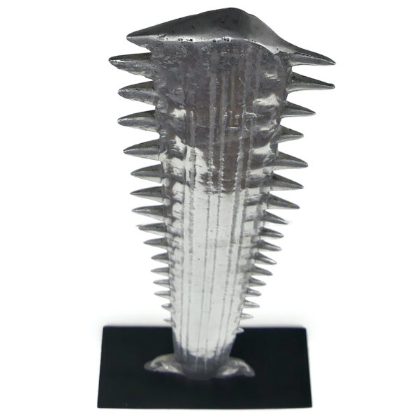 Rostre de poisson-scie Pristidae moulé en fonte d’aluminium sur socle (dessus 3/4)