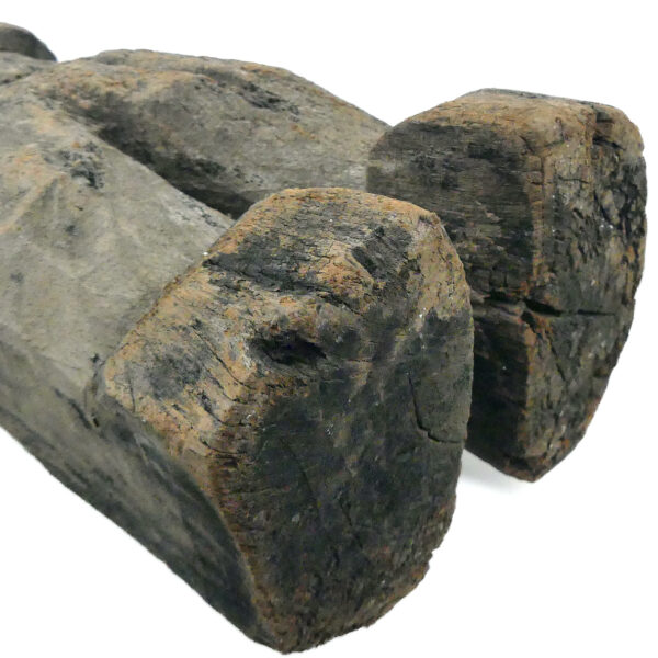 Grande statue protectrice Putali ancienne en bois dense érodé Népal Himalaya (détail)