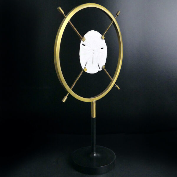 Grand test d’oursin Dendraster excentricus sertie sur pied en laiton (3/4)