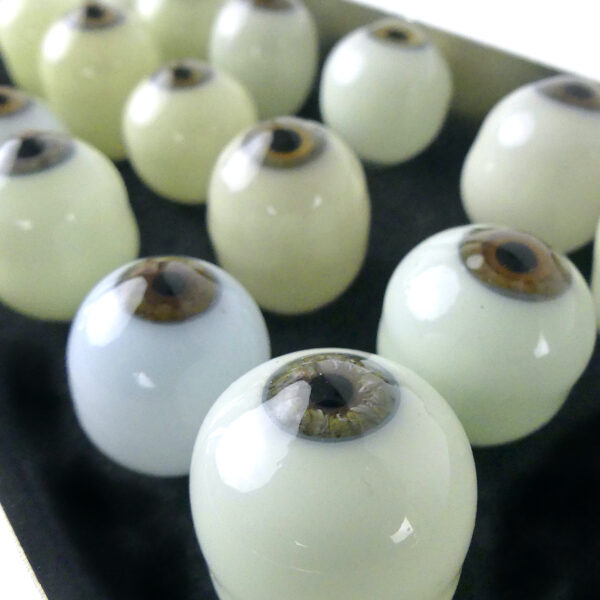 Boîte chirurgicale aux 19 globes oculaires Yeux de verre de prothésiste oculariste (détail)