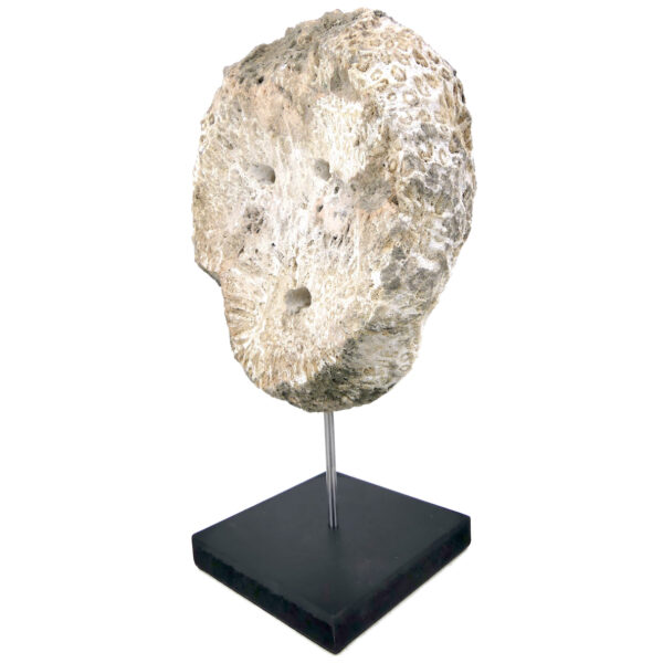 Masque d’ancêtre Atoni en corail fossilisé sur socle Timor oriental (3/4 dos)