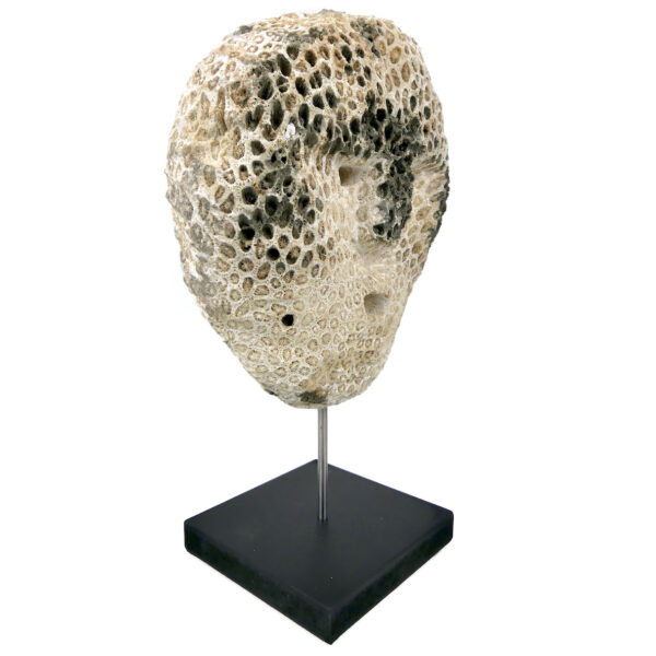 Masque d’ancêtre Atoni en corail fossilisé sur socle Timor oriental (3/4)
