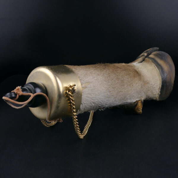 Flasque patte de bovin naturalisé Taxidermie Curiosité Mi-XXe (3/4)
