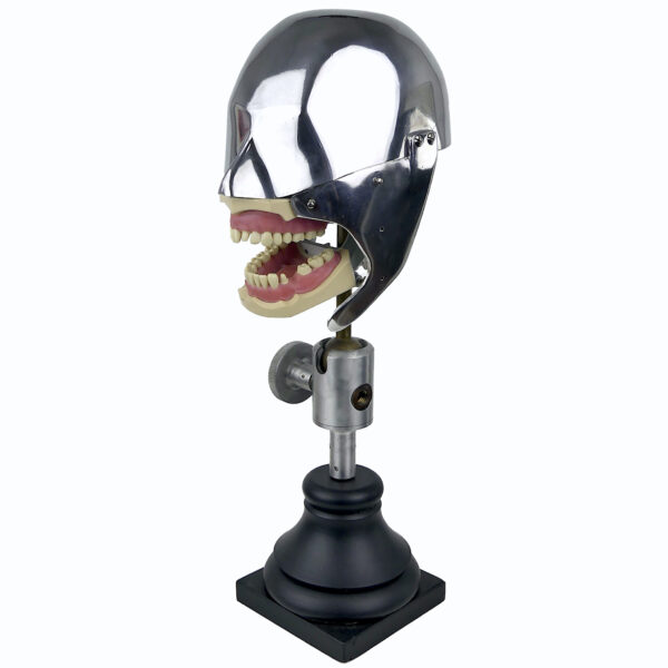 Tête fantôme dentaire vintage des années 60/70 Curiosité médicale (3/4)