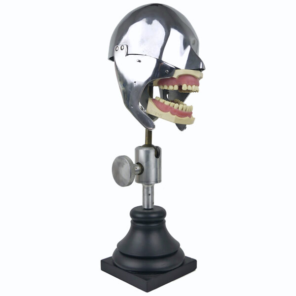 Tête fantôme dentaire vintage des années 60/70 Curiosité médicale (3/4)