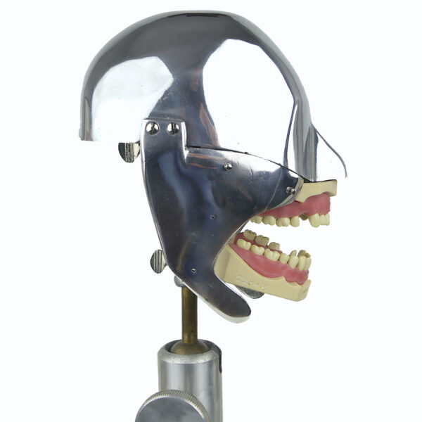Tête fantôme dentaire vintage des années 60/70 Curiosité médicale (profil)