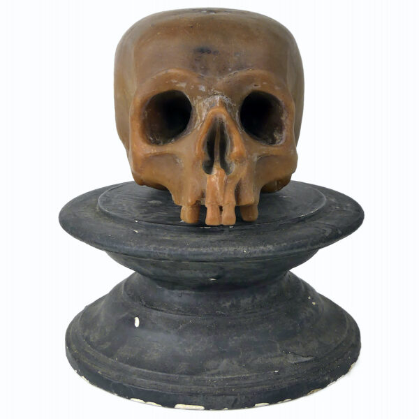 Céroplastie ancienne vanité rare crâne en cire sur piédouche (face)