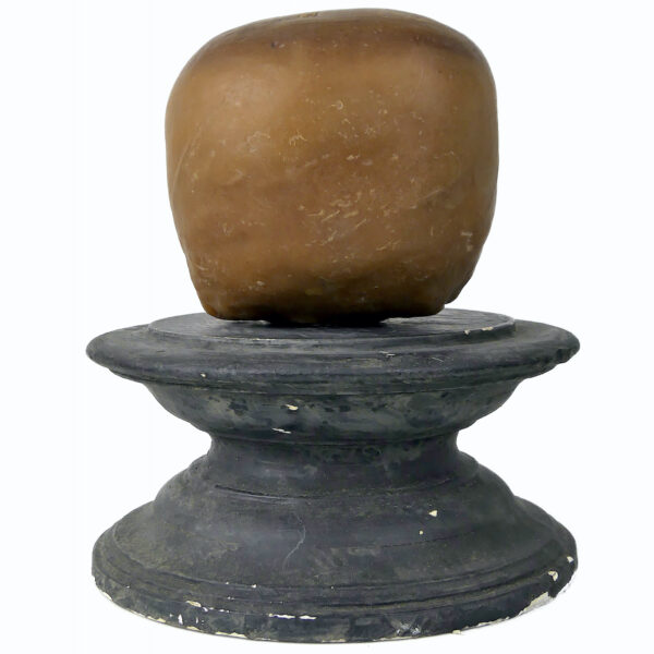 Céroplastie ancienne vanité rare crâne en cire sur piédouche (dos)